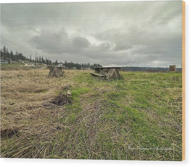 Park - Wood Print