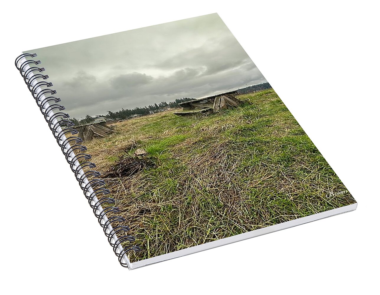 Park - Spiral Notebook