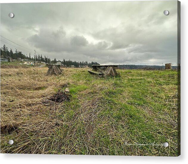 Park - Acrylic Print