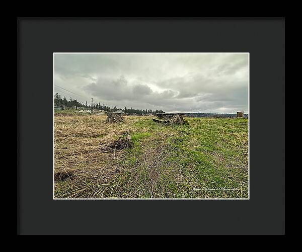 Park - Framed Print