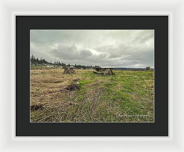 Park - Framed Print