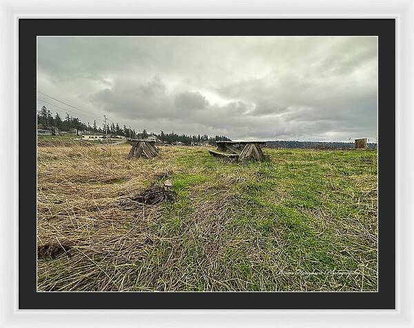 Park - Framed Print