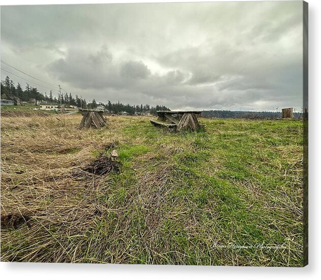 Park - Acrylic Print