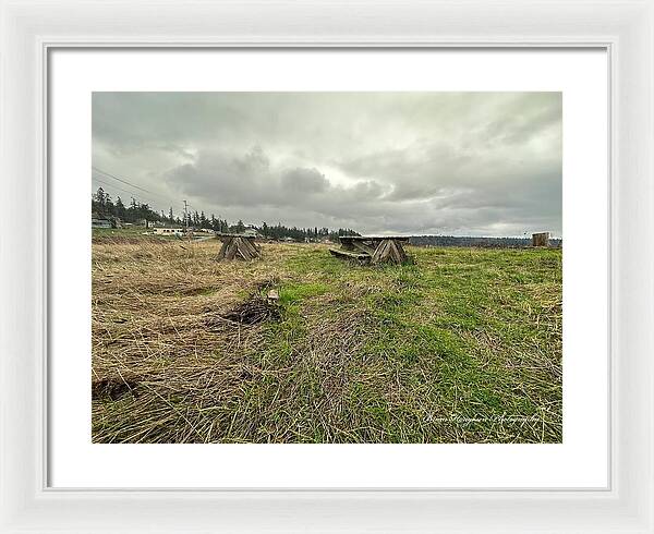 Park - Framed Print