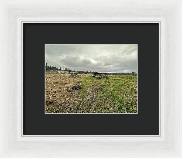Park - Framed Print