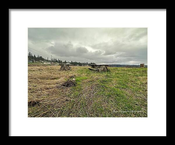 Park - Framed Print