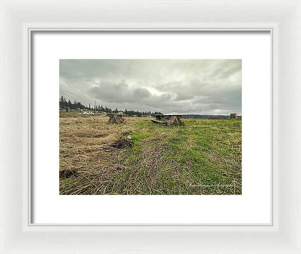 Park - Framed Print