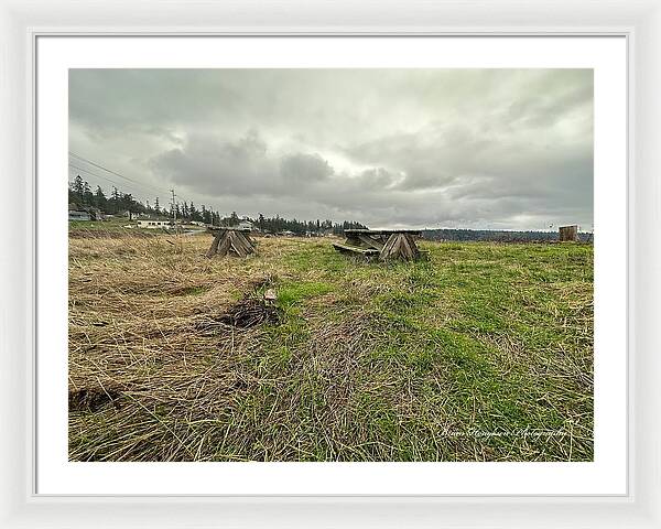 Park - Framed Print