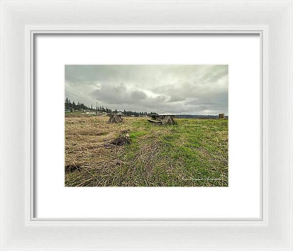 Park - Framed Print