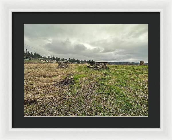Park - Framed Print