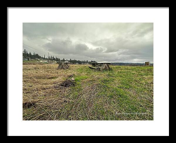 Park - Framed Print
