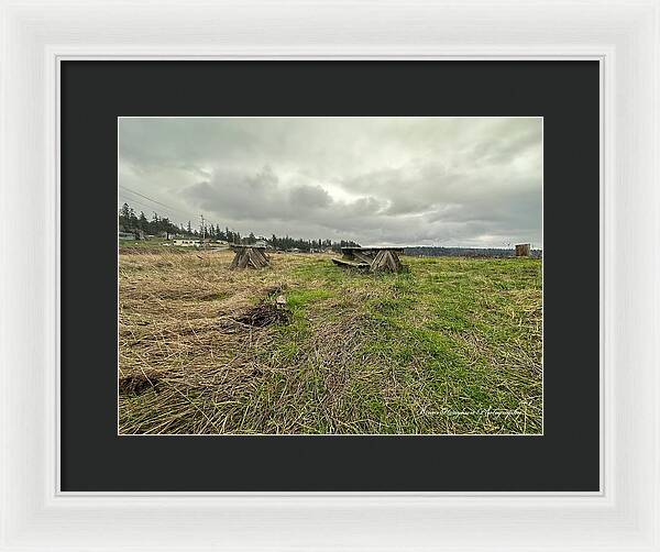Park - Framed Print