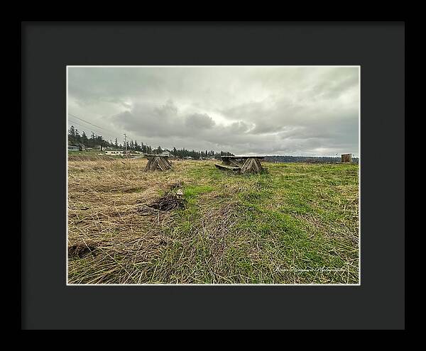 Park - Framed Print