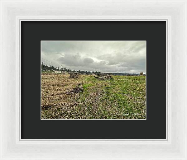 Park - Framed Print