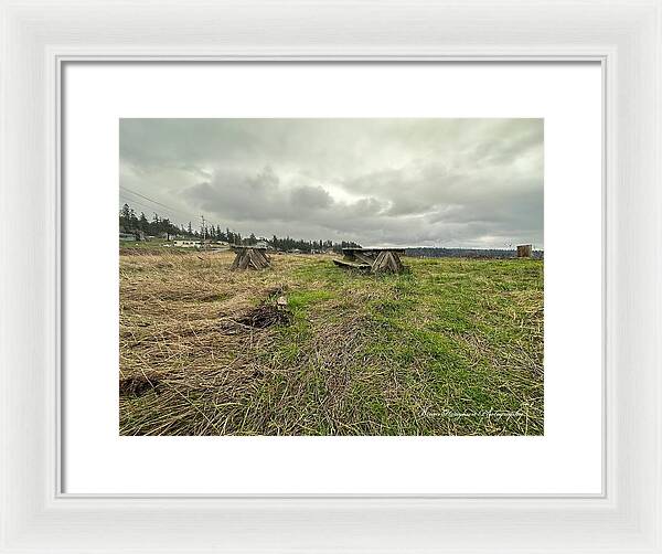 Park - Framed Print