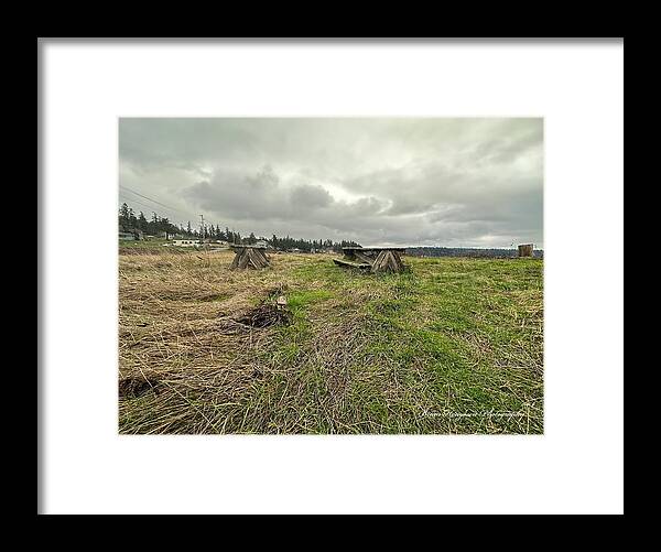 Park - Framed Print