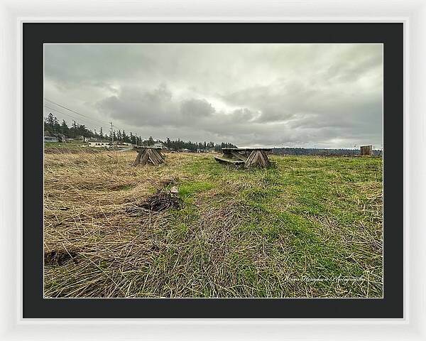 Park - Framed Print