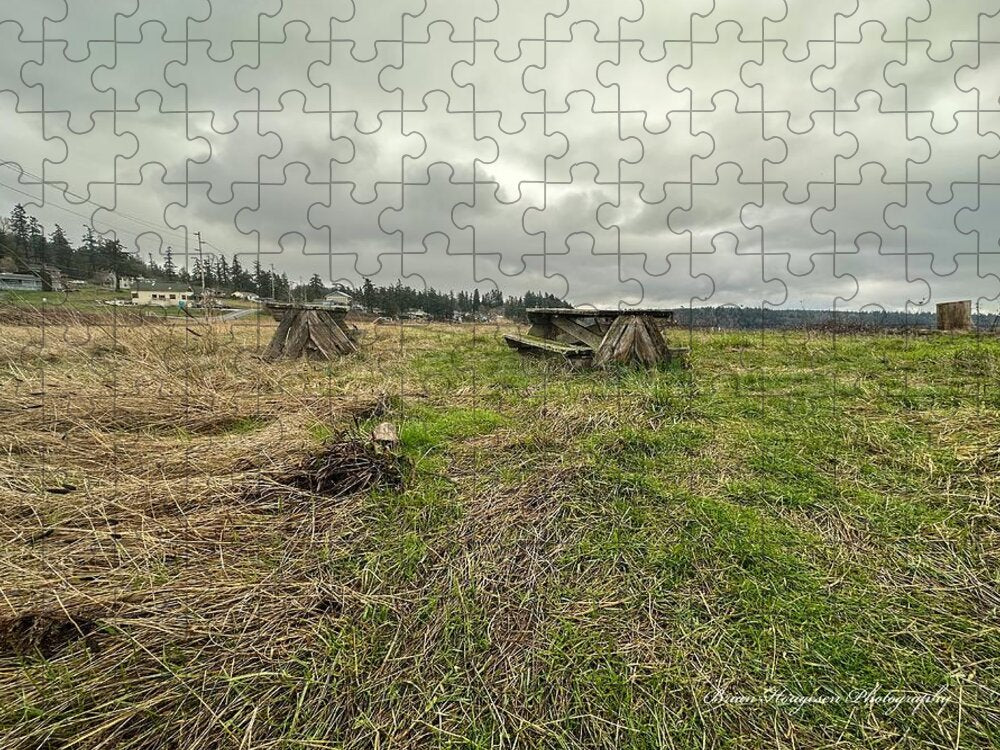 Park - Puzzle