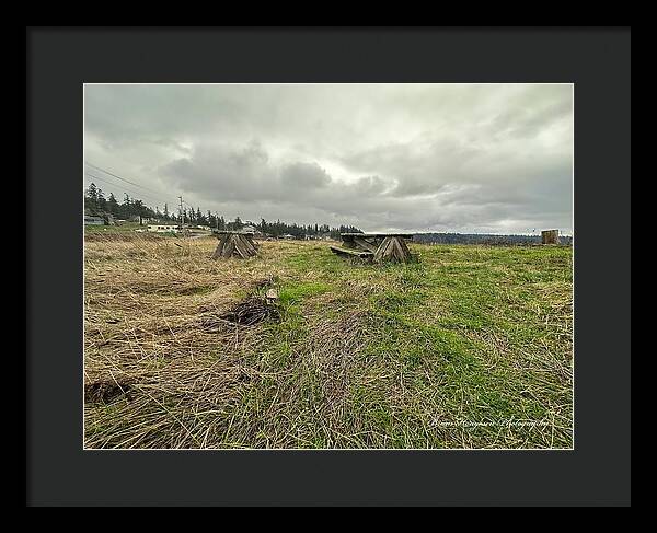 Park - Framed Print