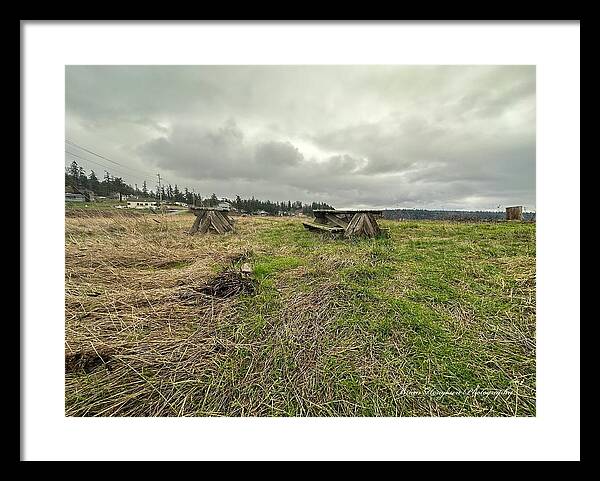 Park - Framed Print