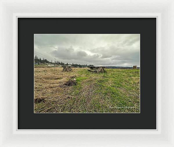 Park - Framed Print