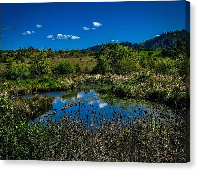 Refuge in the wild - Canvas Print