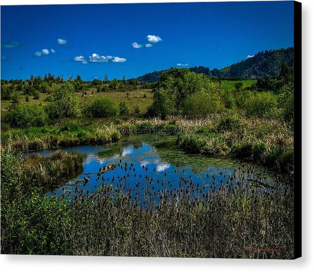 Refuge in the wild - Canvas Print