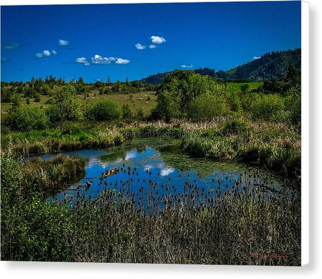 Refuge in the wild - Canvas Print