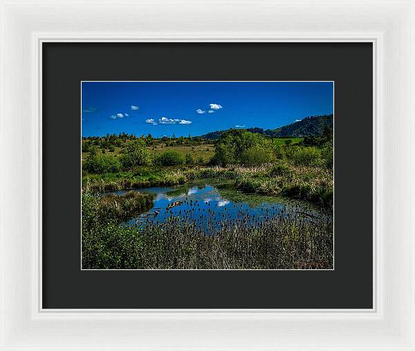 Refuge in the wild - Framed Print