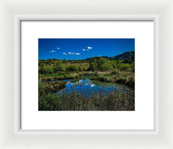Refuge in the wild - Framed Print