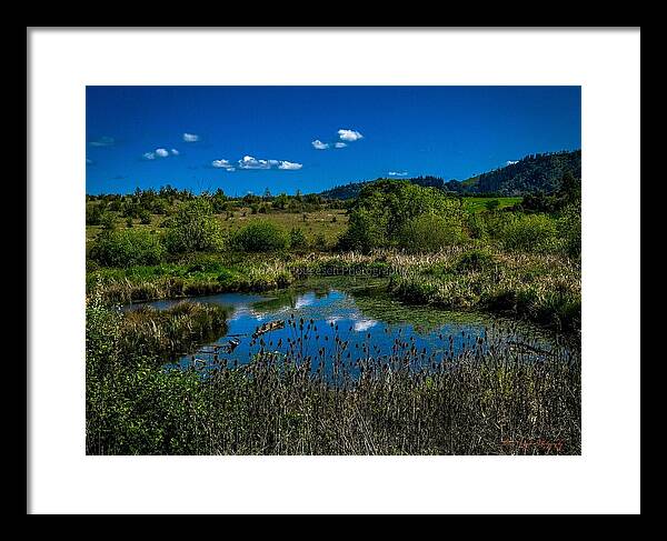 Refuge in the wild - Framed Print
