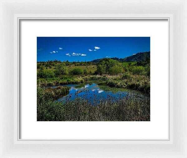 Refuge in the wild - Framed Print