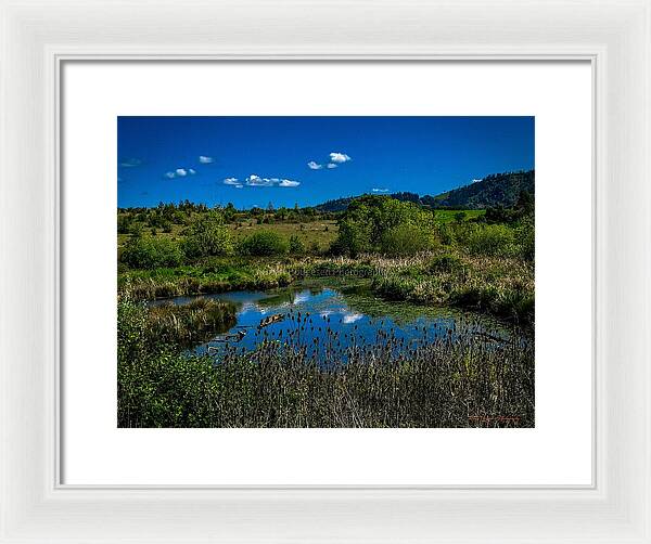 Refuge in the wild - Framed Print