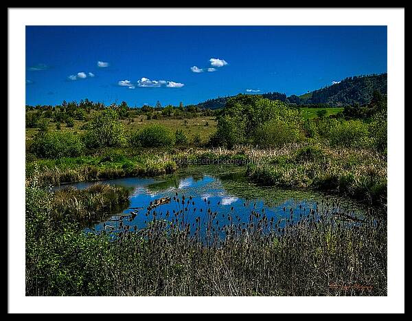 Refuge in the wild - Framed Print
