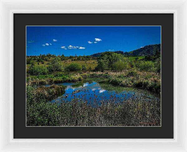 Refuge in the wild - Framed Print