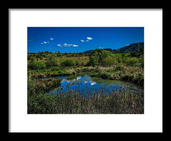 Refuge in the wild - Framed Print