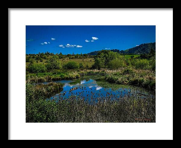 Refuge in the wild - Framed Print