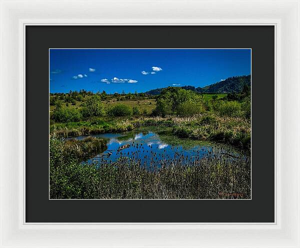 Refuge in the wild - Framed Print