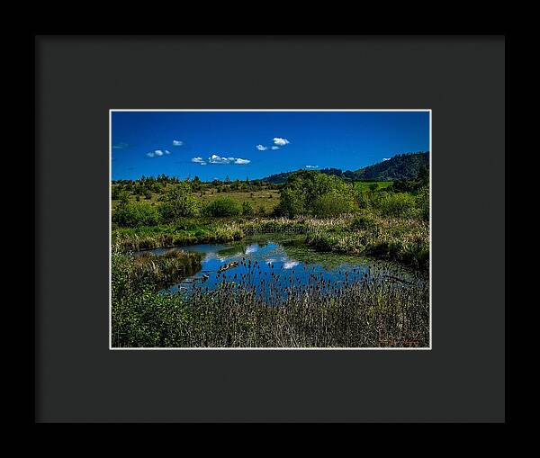 Refuge in the wild - Framed Print