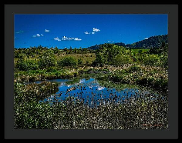 Refuge in the wild - Framed Print