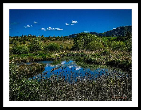 Refuge in the wild - Framed Print