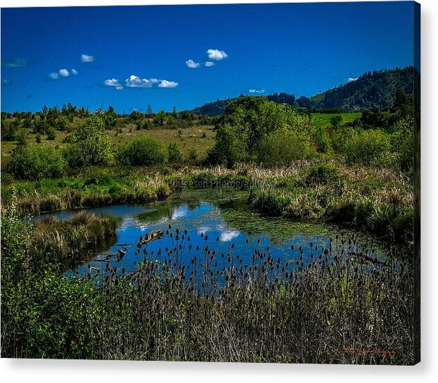Refuge in the wild - Acrylic Print