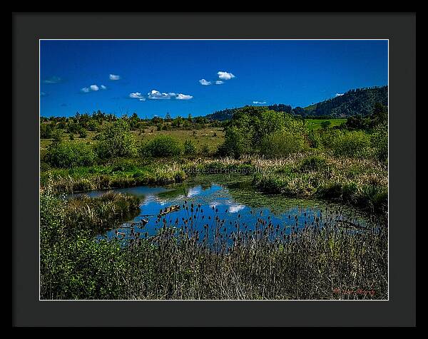 Refuge in the wild - Framed Print