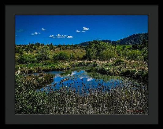 Refuge in the wild - Framed Print