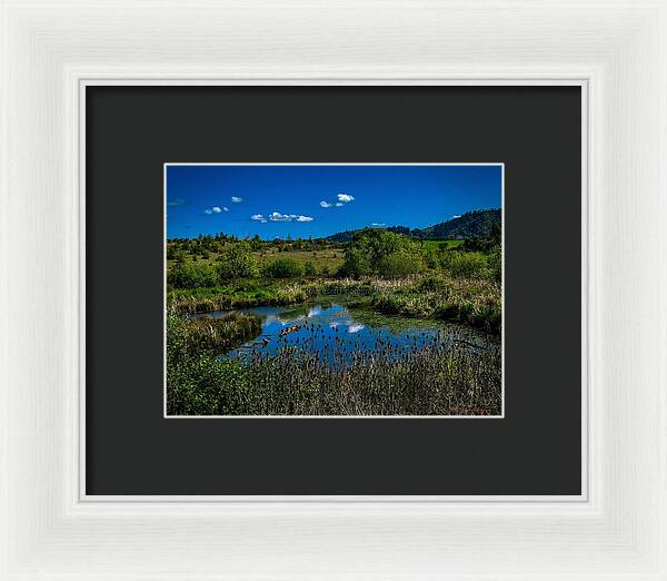 Refuge in the wild - Framed Print