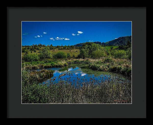Refuge in the wild - Framed Print