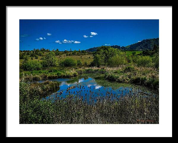 Refuge in the wild - Framed Print
