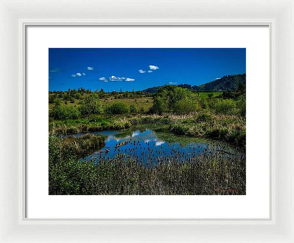 Refuge in the wild - Framed Print
