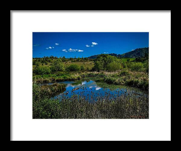 Refuge in the wild - Framed Print
