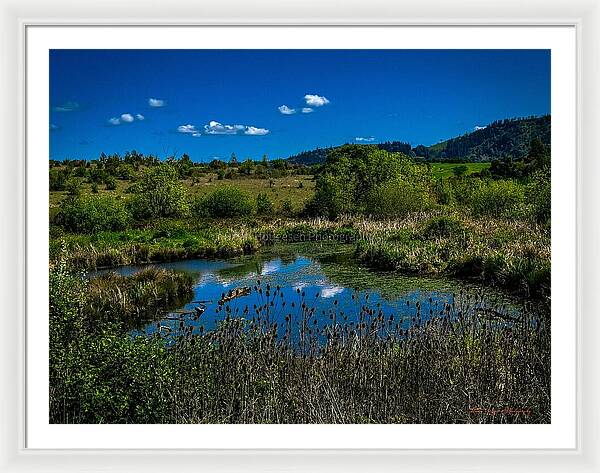 Refuge in the wild - Framed Print